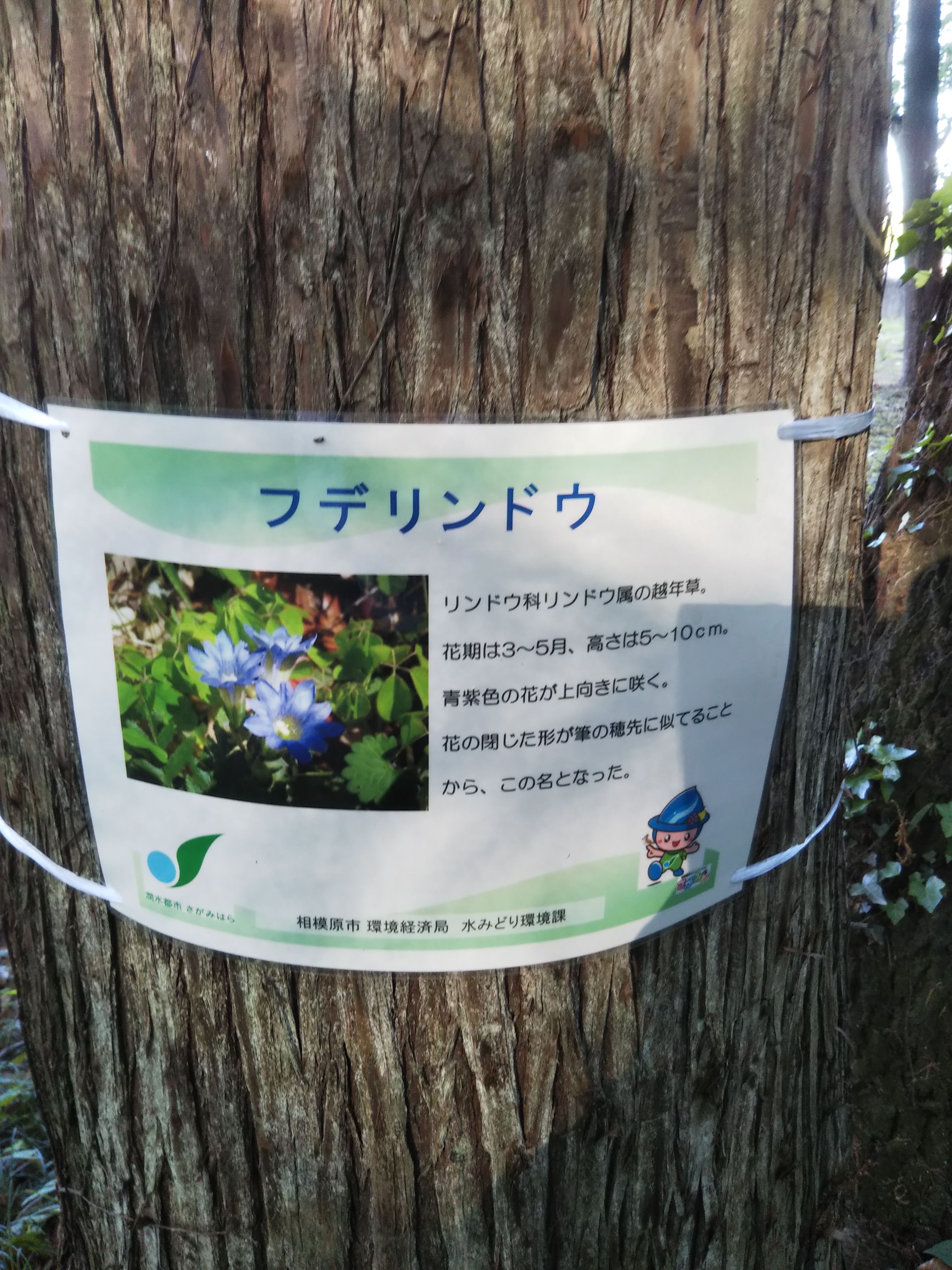 新しい張り紙
