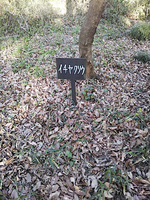 看板