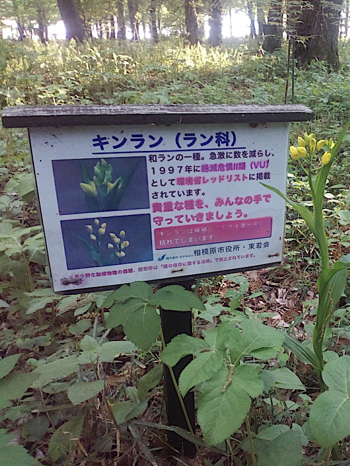 相模原市役所・東若会の立看板