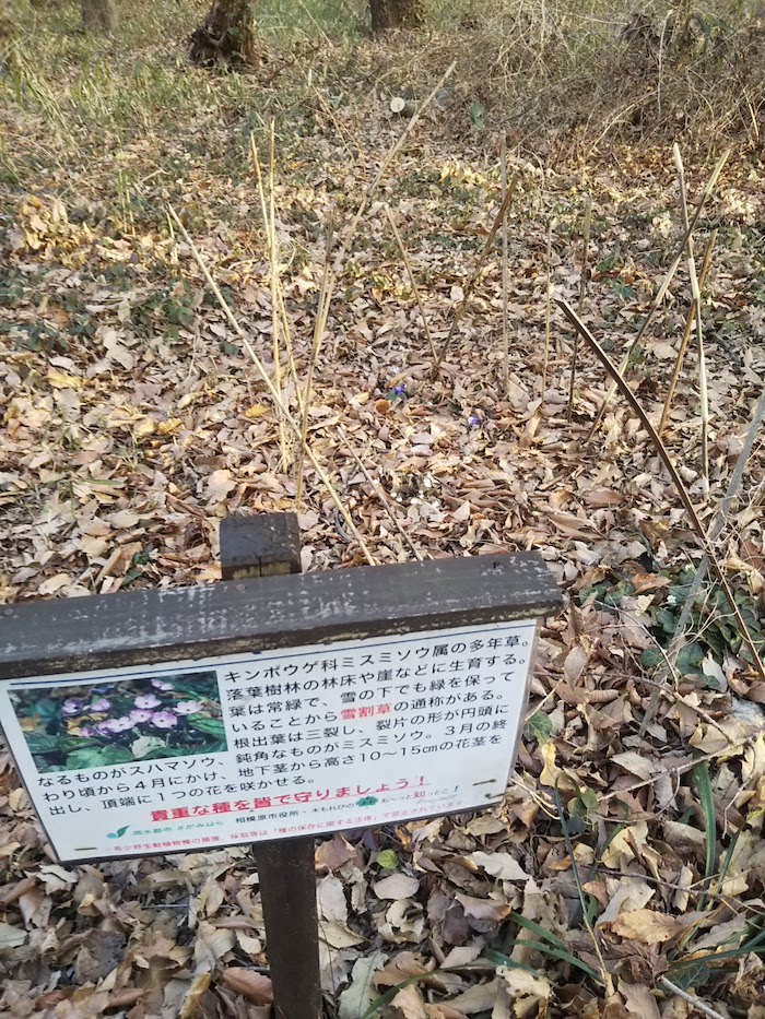 看板の後ろに