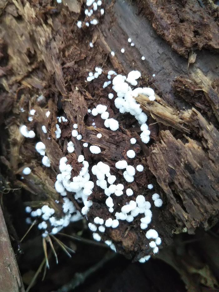 その3